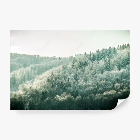 Papier peint forêt hivernale givrante à la lumière douce – Wallnifity®