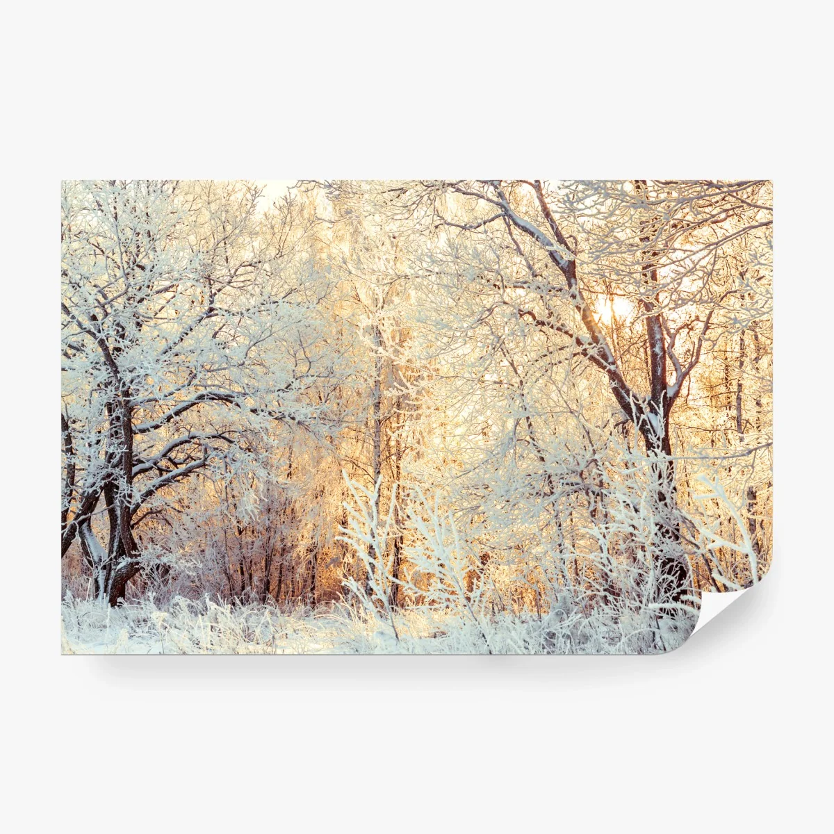 Papier peint forêt enneigée au soleil couchant – Wallnifity® Papier peint forêt enneigée au soleil couchant – Wallnifity®