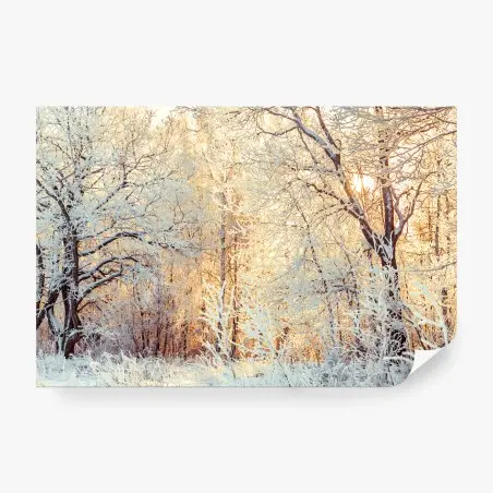 Papier peint forêt enneigée au soleil couchant – Wallnifity®