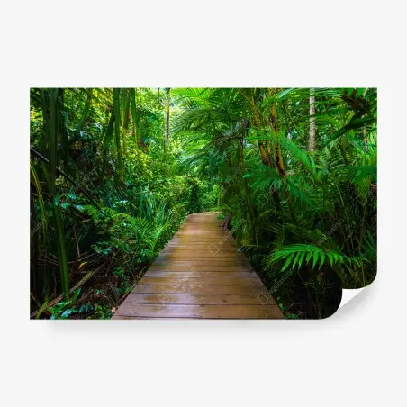 Papier peint passerelle en mangrove, évasion verdoyante – Wallnifity®