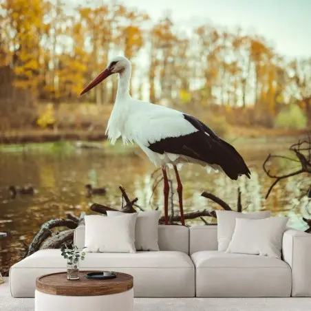 Papier peint cigogne solitaire au bord du lac en automne – Wallnifity®