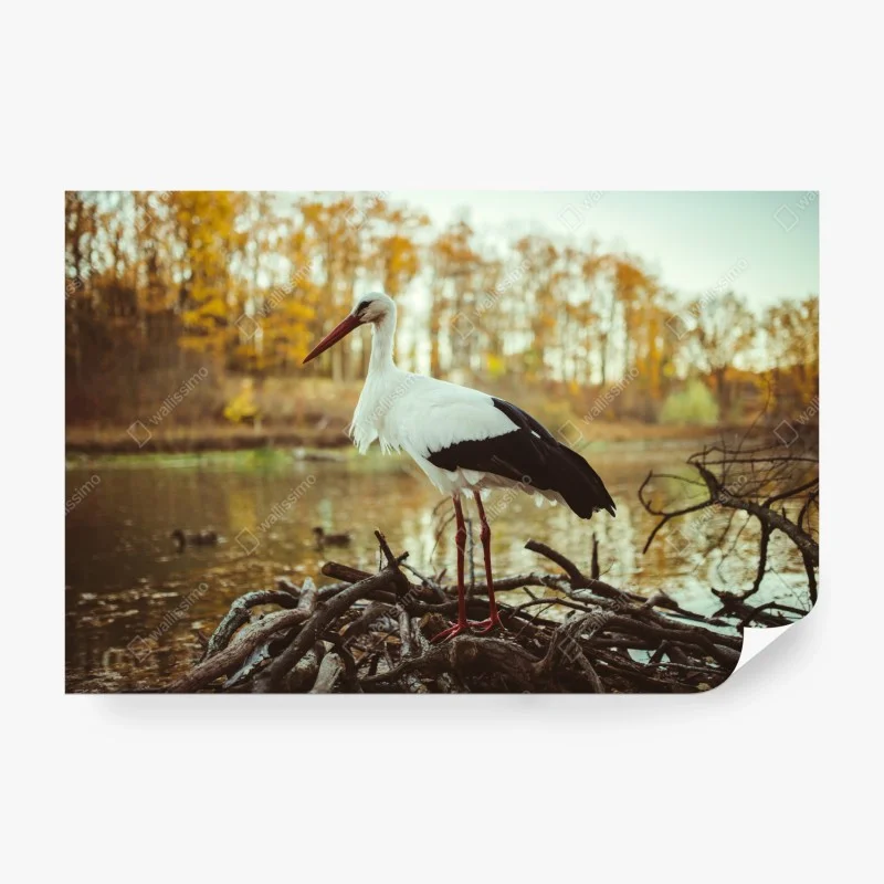Papier peint cigogne solitaire au bord du lac en automne – Wallnifity® Papier peint cigogne solitaire au bord du lac en automne – Wallnifity®
