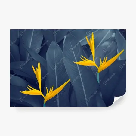 Papier peint composition botanique oiseau de paradis sur feuillage bleu – Wallnifity®
