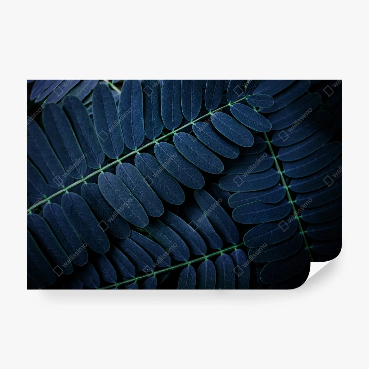 Papier peint feuillage bleu profond en motif artistique – Wallnifity® Papier peint feuillage bleu profond en motif artistique – Wallnifity®