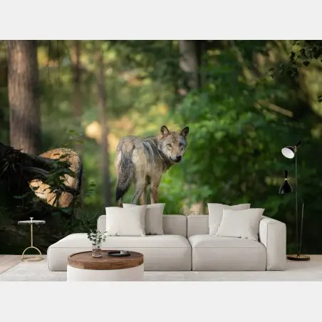 Papier peint portrait de loup dans une clairière boisée – Wallnifity®