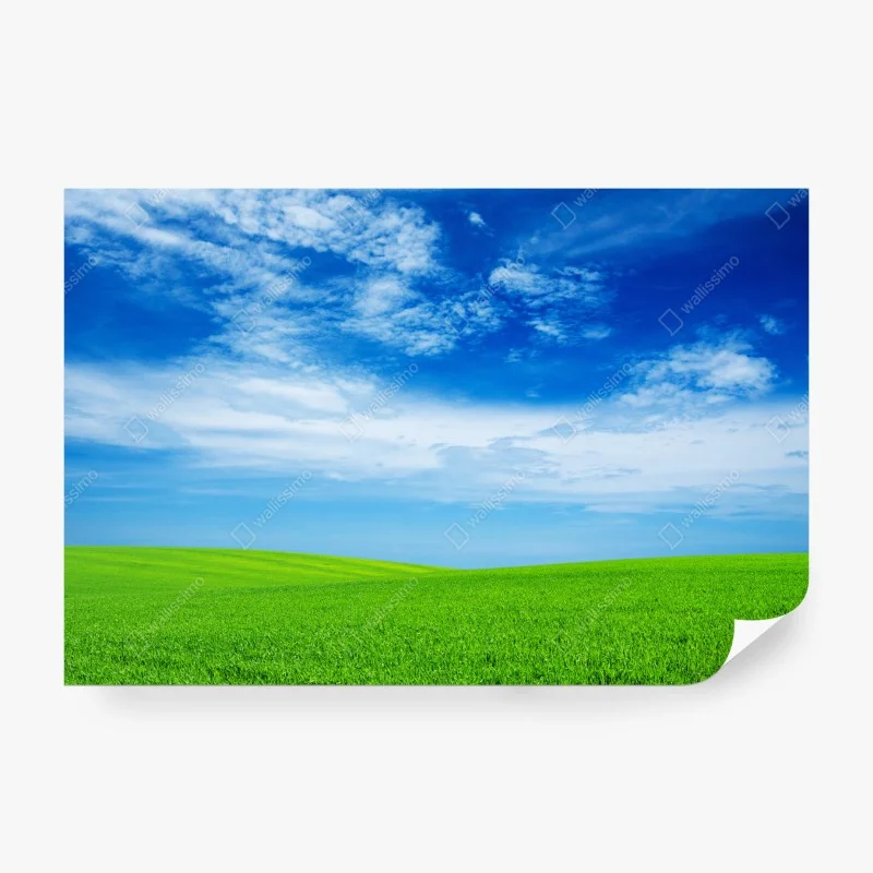Papier peint horizon verdoyant sous ciel bleu – Wallnifity® Papier peint horizon verdoyant sous ciel bleu – Wallnifity®