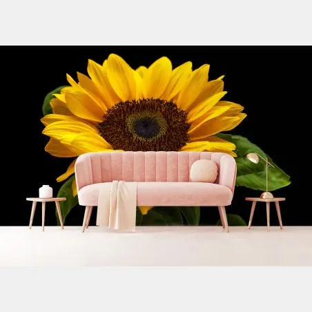 Papier peint éclat de tournesol sur fond noir – Wallnifity®