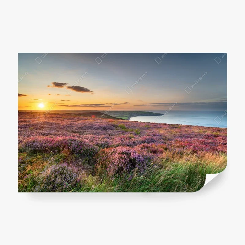Papier peint coucher de soleil sur la bruyère des North York Moors, vue sur Robin Hood's Bay – Wallnifity® Papier peint coucher de soleil sur la bruyère des North York Moors, vue sur Robin Hood's Bay – Wallnifity®