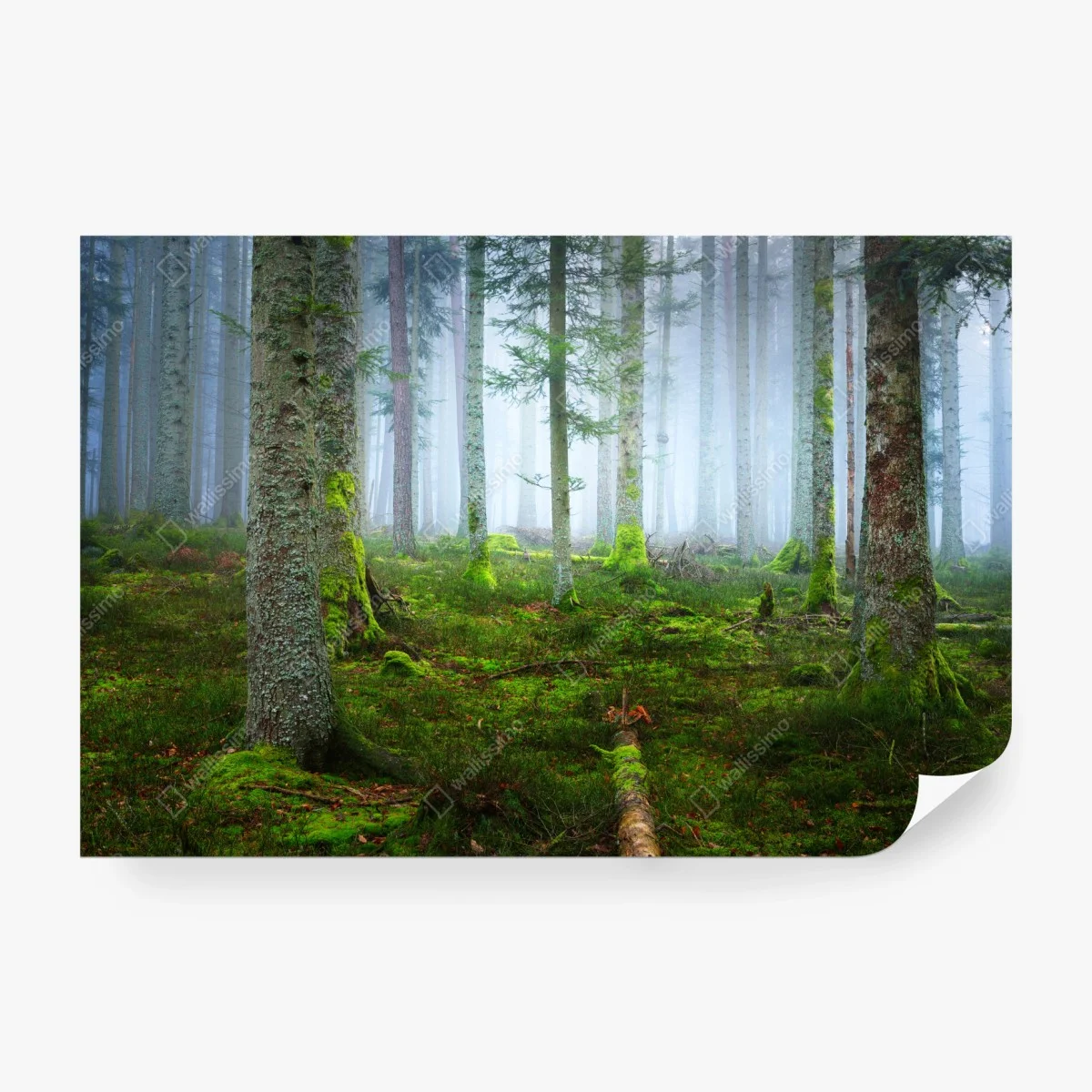 Papier peint brume mystique dans la forêt d'Alsace – Wallnifity® Papier peint brume mystique dans la forêt d'Alsace – Wallnifity®