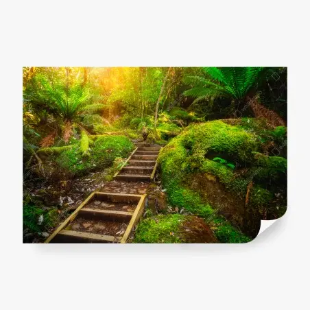 Papier peint sentier luxuriant dans la forêt jurassique de Tasmanie – Wallnifity®