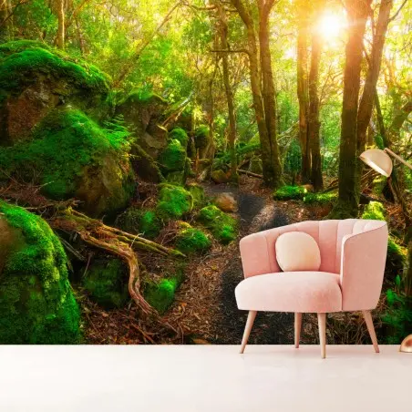 Papier peint chemin verdoyant dans la forêt jurassique de Tasmanie – Wallnifity®