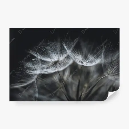 Papier peint souffle de pissenlit en macro – Wallnifity®