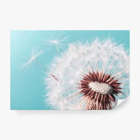 Papier peint douceur de pissenlit sur fond turquoise – Wallnifity®