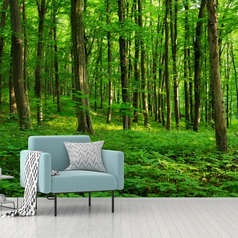 Papier peint forêt verdoyante au printemps – Wallnifity® Papier peint forêt verdoyante au printemps – Wallnifity®