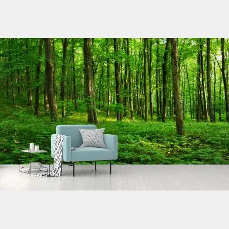 Papier peint forêt verdoyante au printemps – Wallnifity®