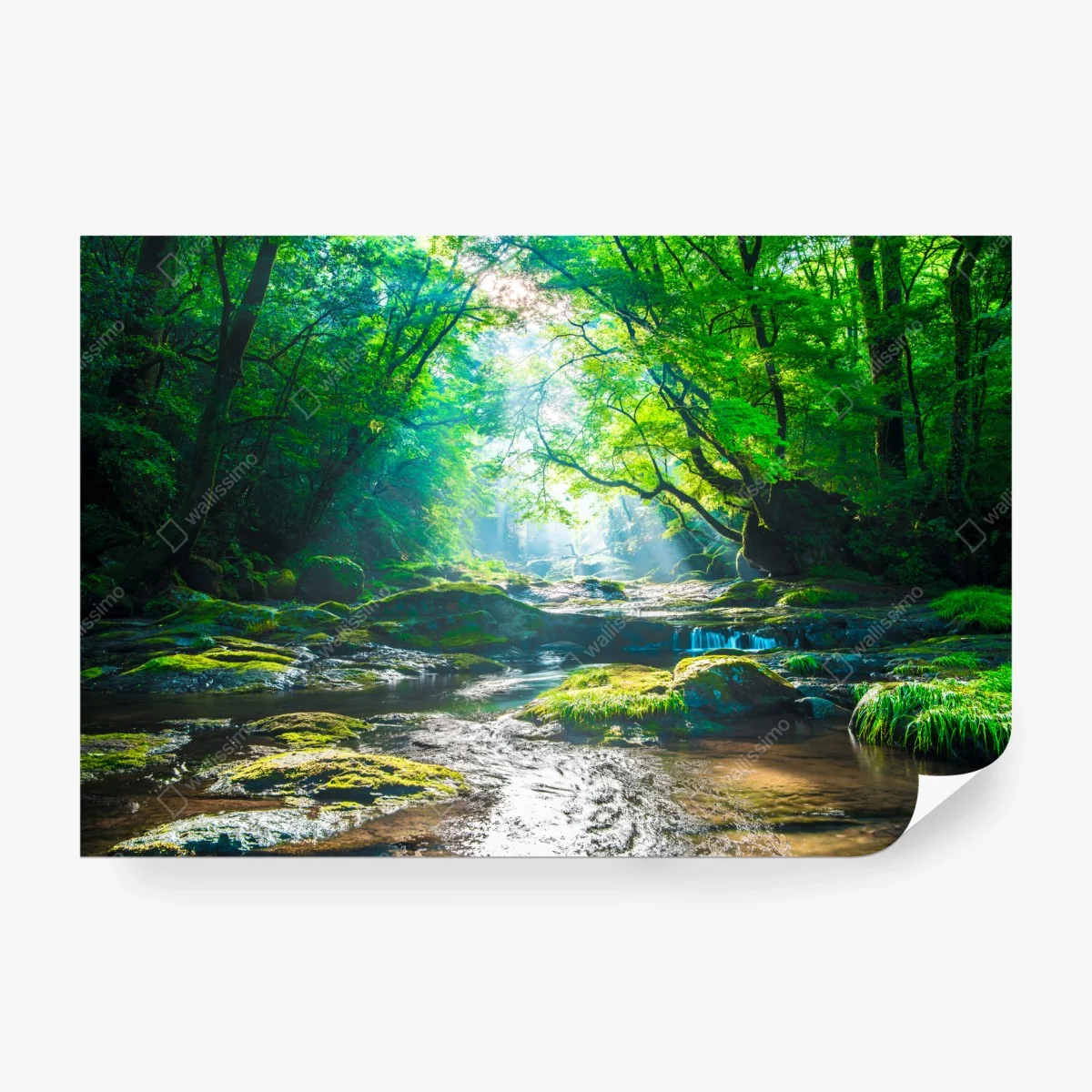 Papier peint clairière lumineuse au bord de la rivière – Wallnifity® Papier peint clairière lumineuse au bord de la rivière – Wallnifity®
