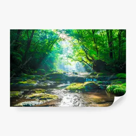Papier peint clairière lumineuse au bord de la rivière – Wallnifity®
