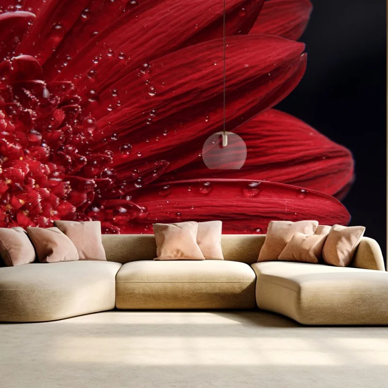 Fleurs et plantes – Wallnifity®
