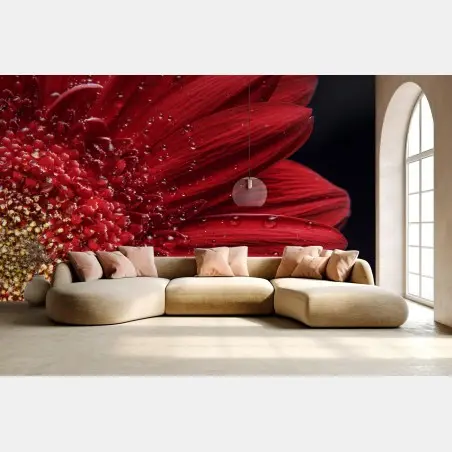 Papier peint gerbera rouge en gros plan – Wallnifity®