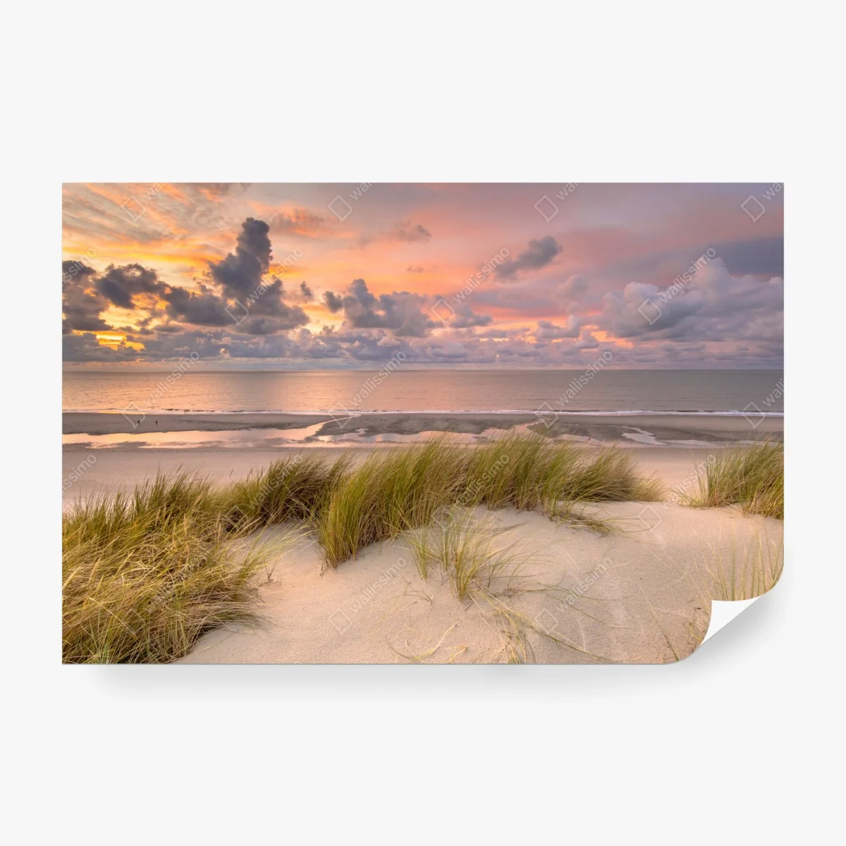 Papier peint coucher de soleil sur les dunes de Zélande – Wallnifity® Papier peint coucher de soleil sur les dunes de Zélande – Wallnifity®