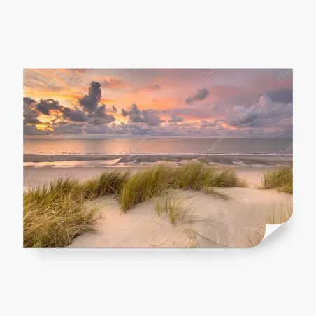 Papier peint coucher de soleil sur les dunes de Zélande – Wallnifity®