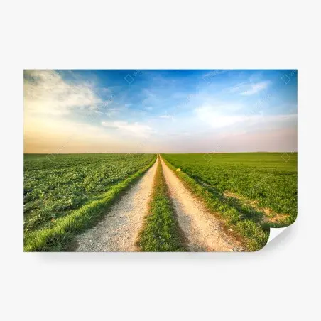 Papier peint chemin rural vers l'horizon – Wallnifity®