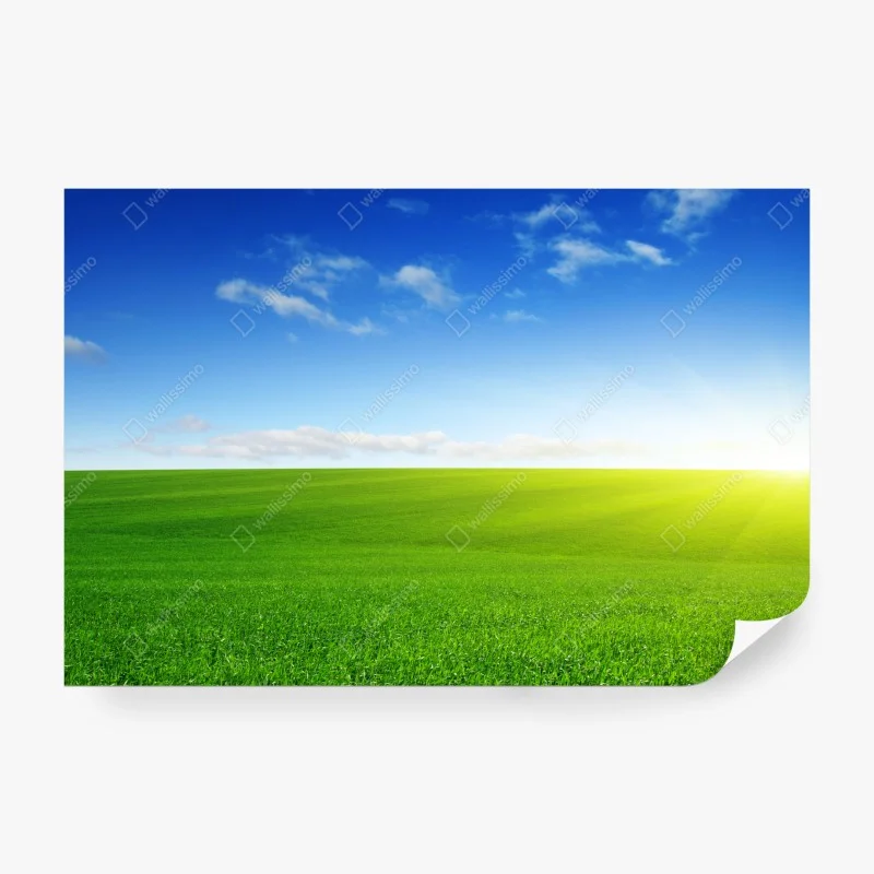 Papier peint horizon ensoleillé sur prairie verdoyante – Wallnifity® Papier peint horizon ensoleillé sur prairie verdoyante – Wallnifity®