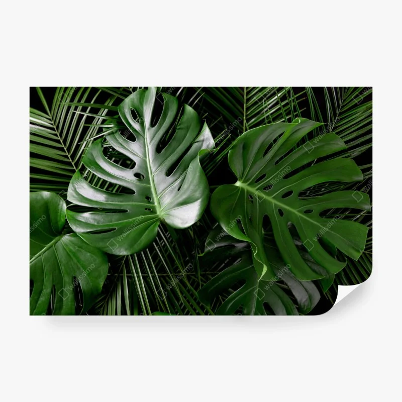 Papier peint motif feuilles tropicales luxuriantes – Wallnifity® Papier peint motif feuilles tropicales luxuriantes – Wallnifity®