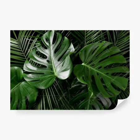 Papier peint motif feuilles tropicales luxuriantes – Wallnifity®