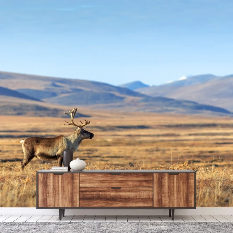 Nature – Wallnifity®