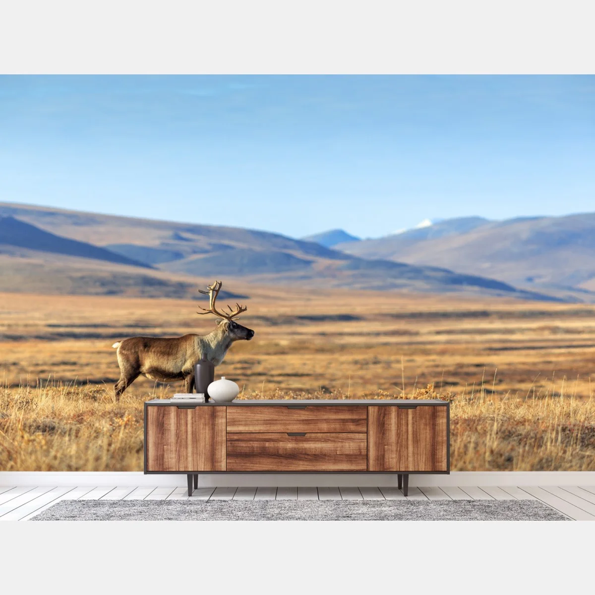Papier peint renne solitaire dans la toundra arctique, Sibérie – Wallnifity® Papier peint renne solitaire dans la toundra arctique, Sibérie – Wallnifity®
