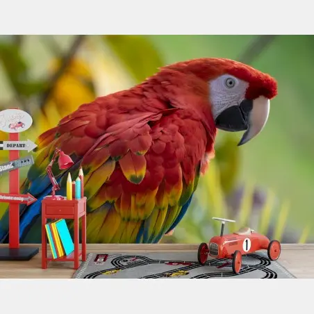 Papier peint plumage éclatant d'un perroquet tropical – Wallnifity®