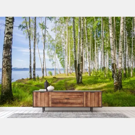 Papier peint clairière de bouleaux au bord du lac – Wallnifity®