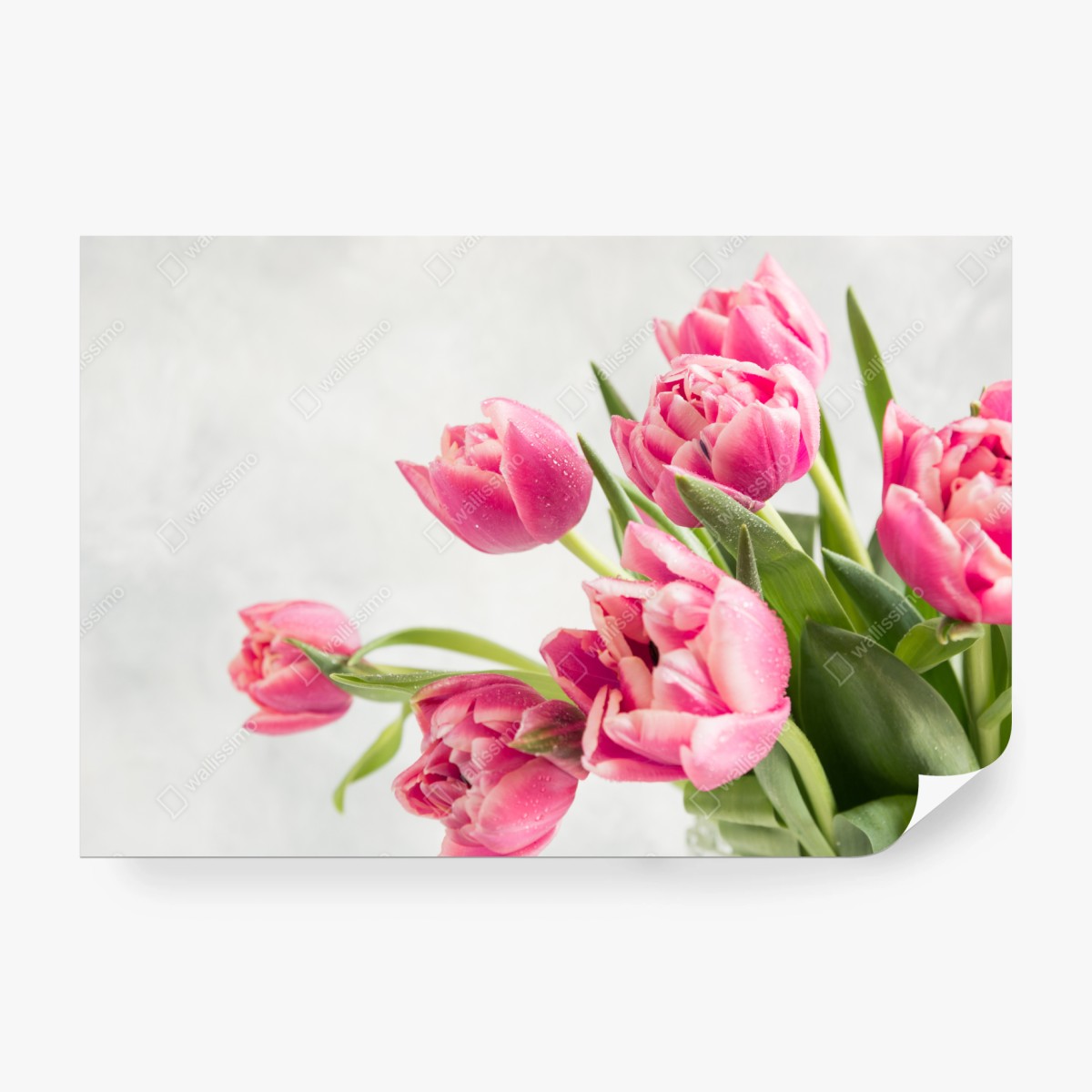 Papier peint bouquet de tulipes roses sur fond clair – Wallnifity®