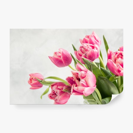 Papier peint bouquet de tulipes roses sur fond clair – Wallnifity®