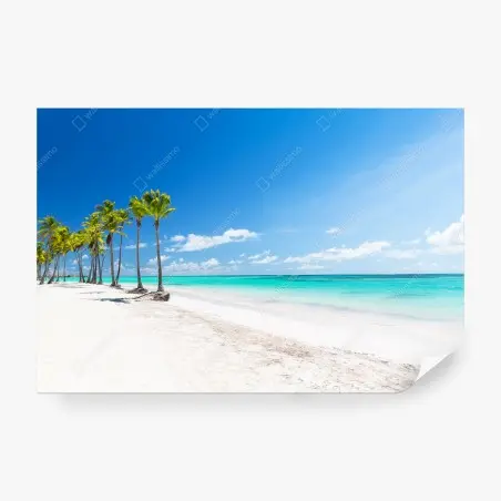 Papier peint plage de rêve à Punta Cana – Wallnifity®