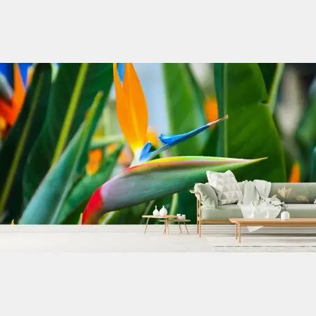 Papier peint oiseau de paradis tropical en gros plan – Wallnifity®