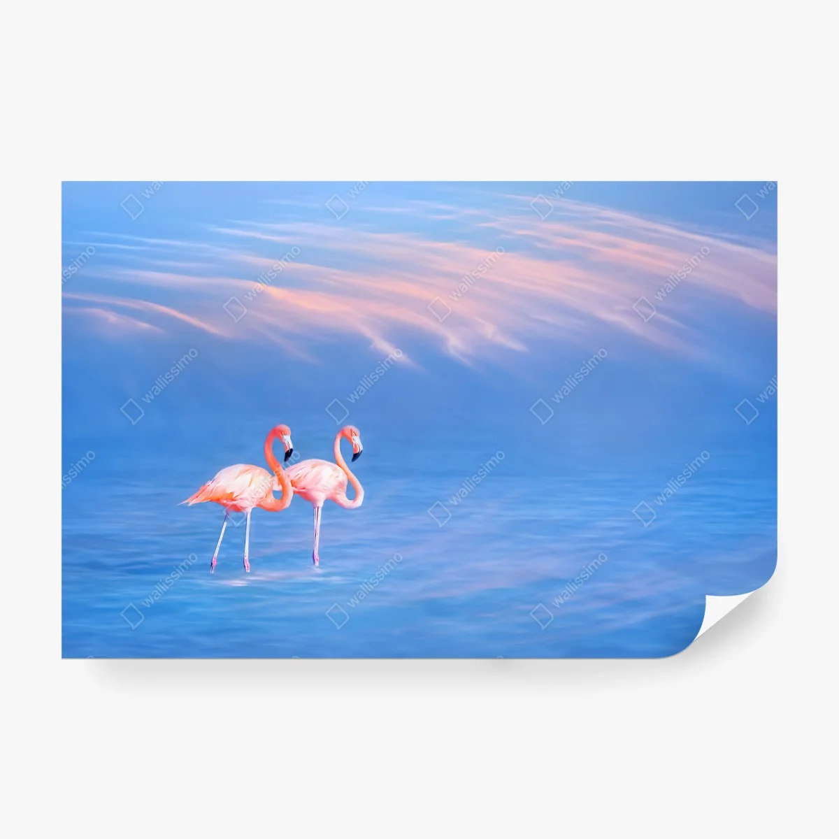 Papier peint duo de flamants roses au crépuscule – Wallnifity® Papier peint duo de flamants roses au crépuscule – Wallnifity®
