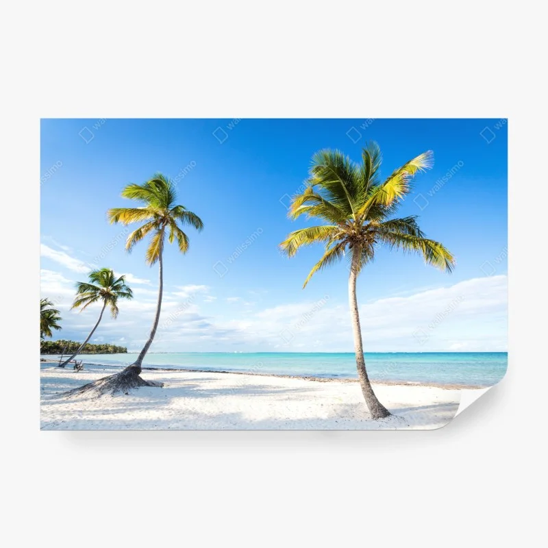 Papier peint cocotiers et mer turquoise – Wallnifity® Papier peint cocotiers et mer turquoise – Wallnifity®