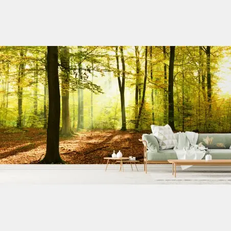 Papier peint forêt d'automne baignée de lumière – Wallnifity®
