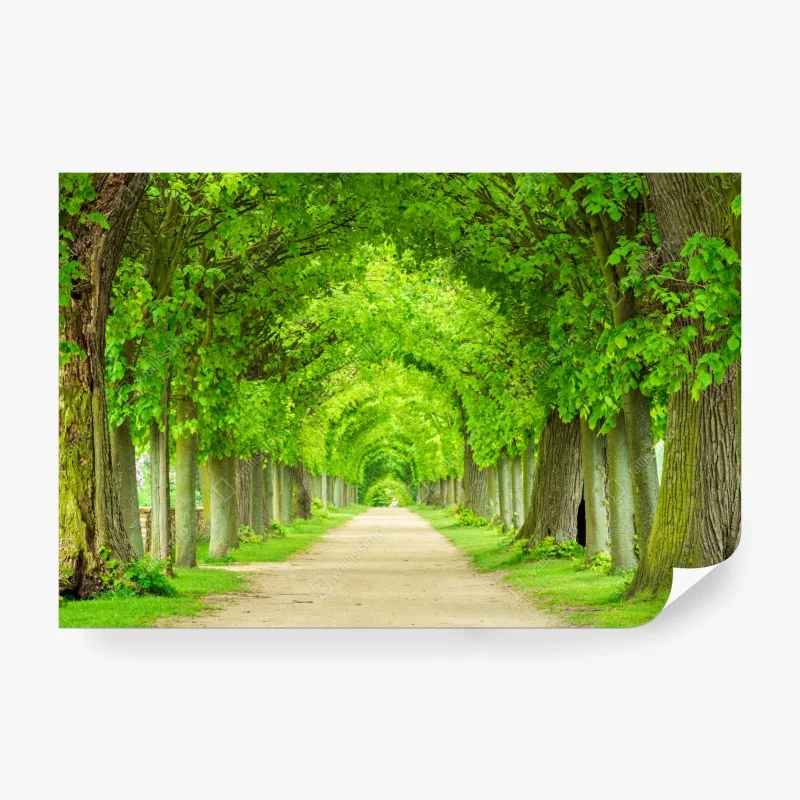 Papier peint allée verdoyante en perspective – Wallnifity® Papier peint allée verdoyante en perspective – Wallnifity®