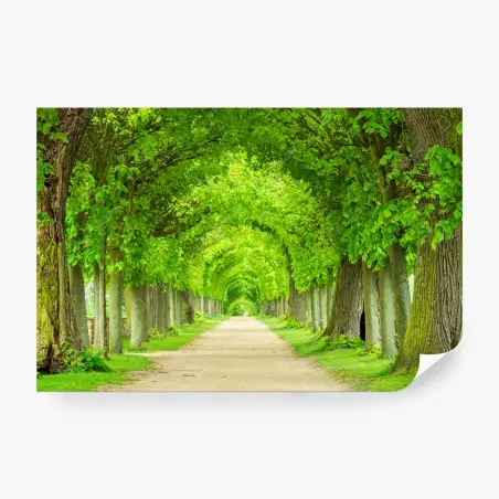 Papier peint allée verdoyante en perspective – Wallnifity®