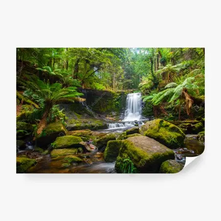 Papier peint cascade tranquille au cœur d'une forêt verdoyante – Wallnifity®
