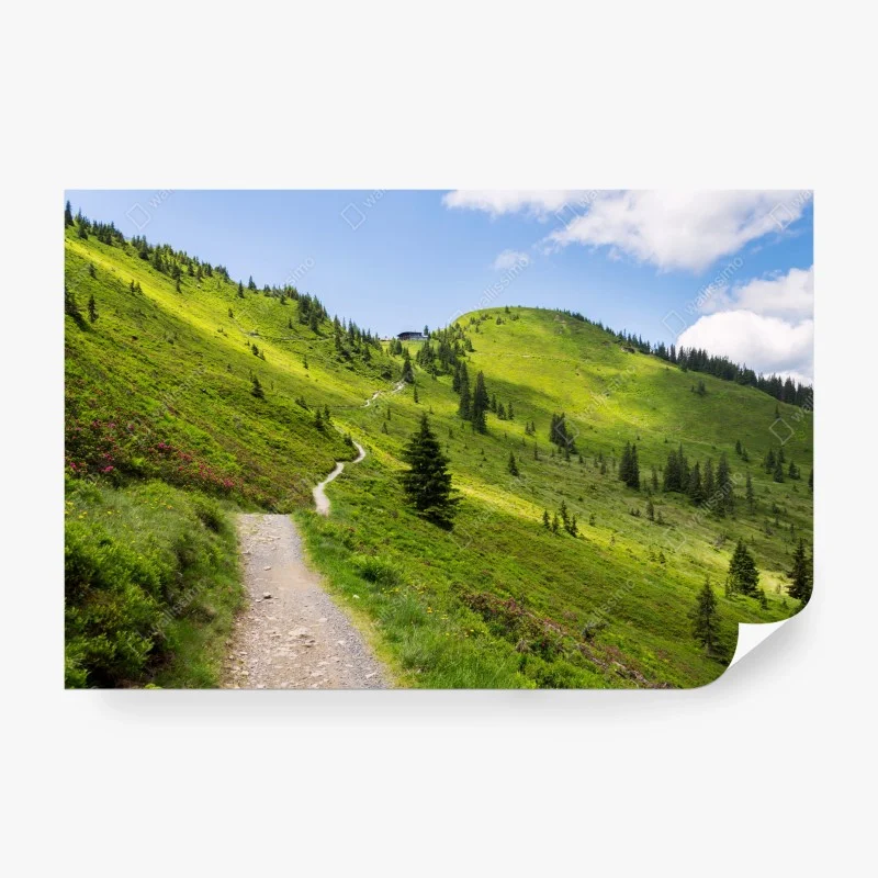Papier peint sentier de montagne verdoyant au soleil – Wallnifity® Papier peint sentier de montagne verdoyant au soleil – Wallnifity®
