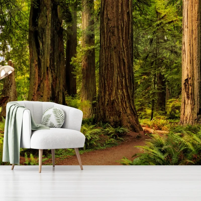 Forêts – Wallnifity®