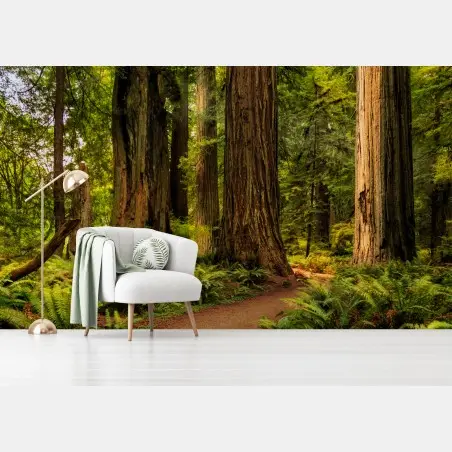 Papier peint promenade sous les séquoias de Californie – Wallnifity®