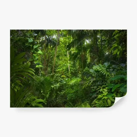 Papier peint oasis de verdure tropicale – Wallnifity®