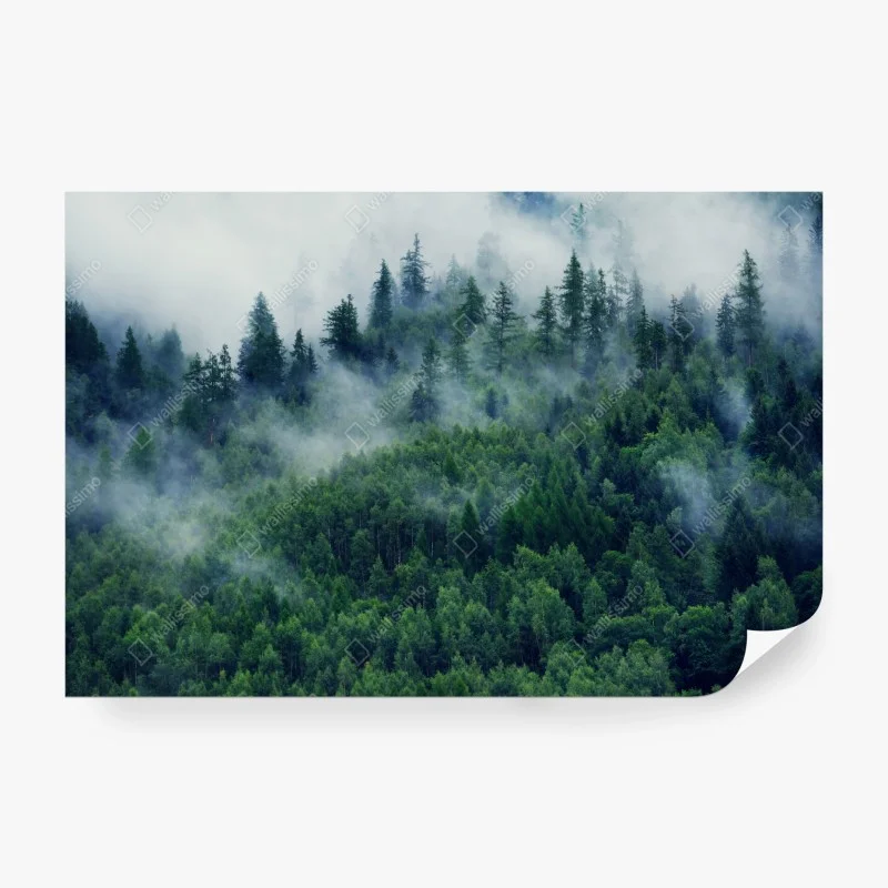 Papier peint forêt embrumée aux nuances de vert – Wallnifity® Papier peint forêt embrumée aux nuances de vert – Wallnifity®