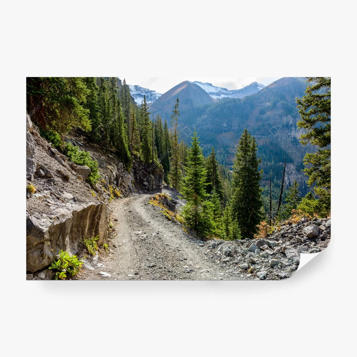 Papier peint sentier de montagne alpin entre pins et sommets – Wallnifity® Papier peint sentier de montagne alpin entre pins et sommets – Wallnifity®