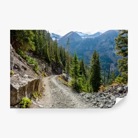 Papier peint sentier de montagne alpin entre pins et sommets – Wallnifity®